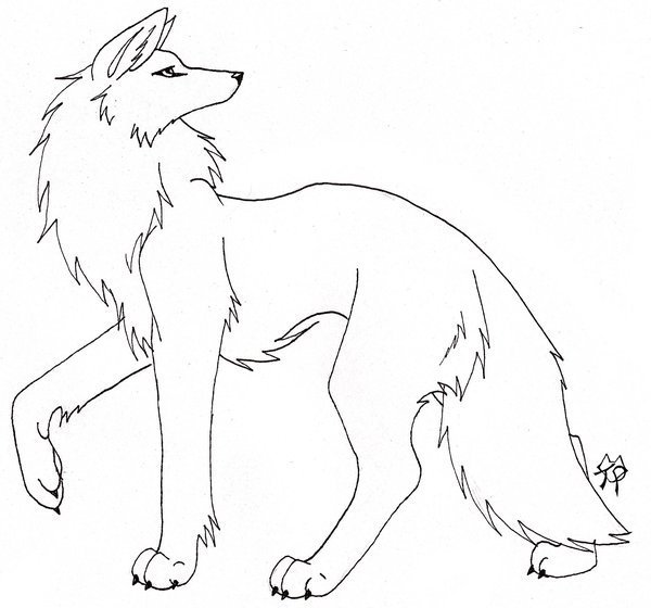 Манекен волка для рисования