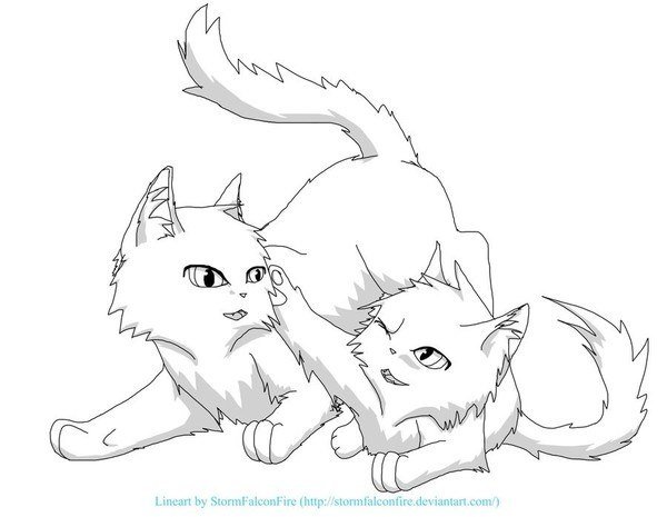 Коты Воители лайны друзья двое