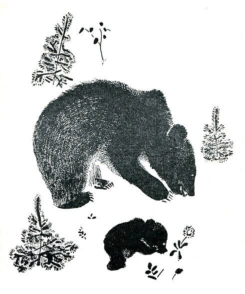 Евгений Чарушин медведь