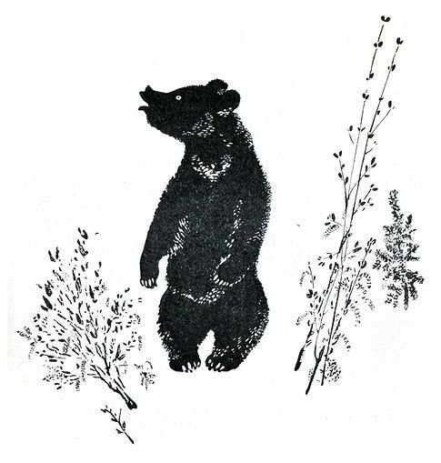 Чарушин медведь
