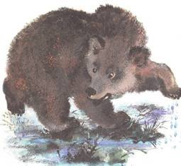 Медведь-Рыбак Чарушин иллюстрации к рассказу