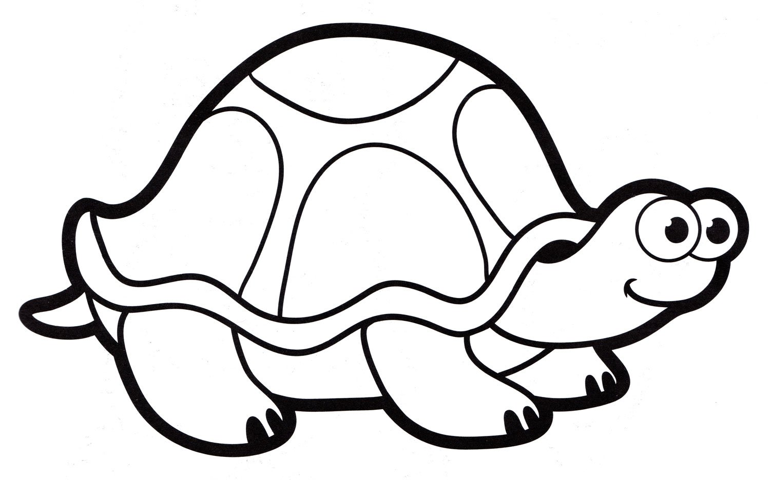 Раскраска Черепаха — Мир раскрасок