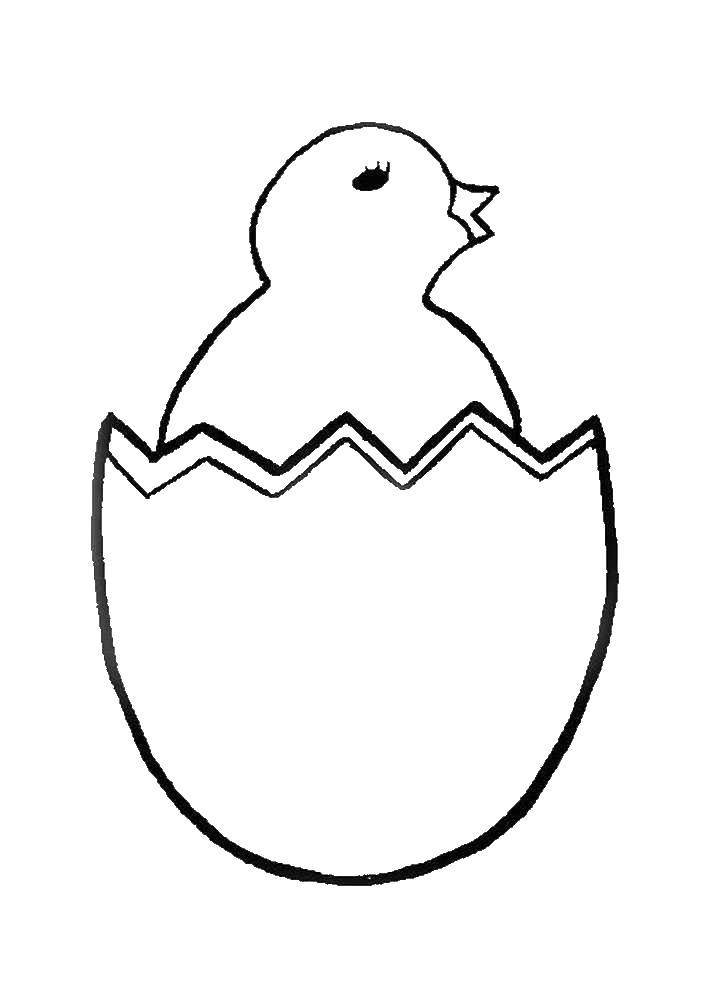Раскраска Пасхальное яйцо распечатать бесплатно