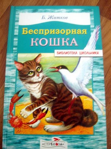 Раскраски житков беспризорная кошка (50 фото)