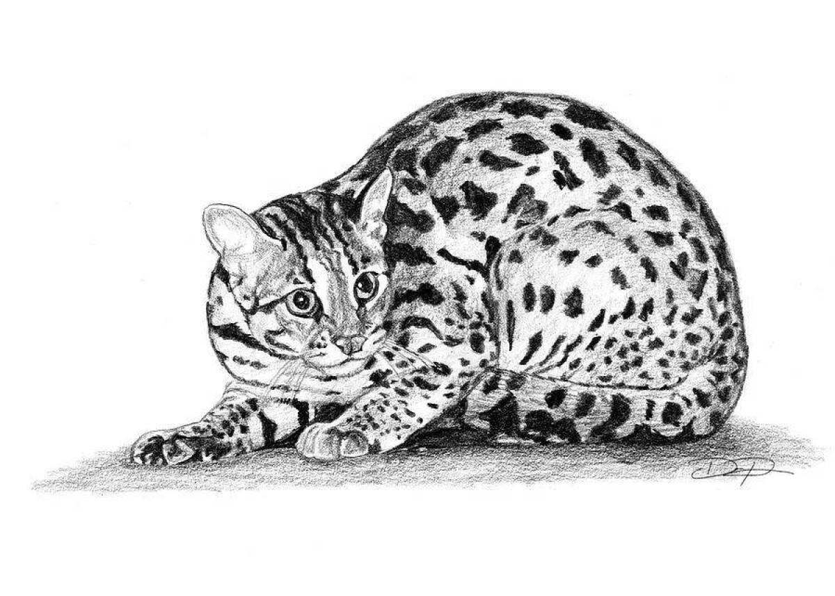 Порода кошек с окрасом леопарда - 67 фото