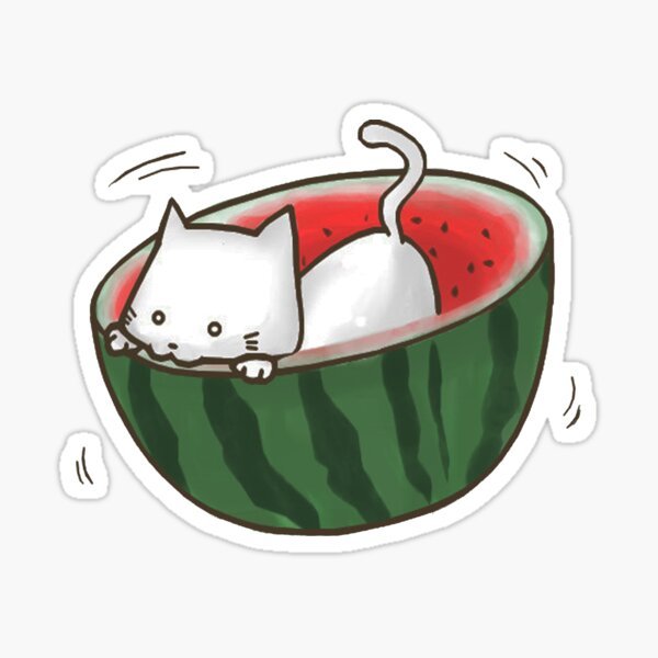 Котик Арбуз арт