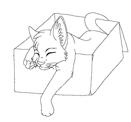 Раскраска котик в коробке