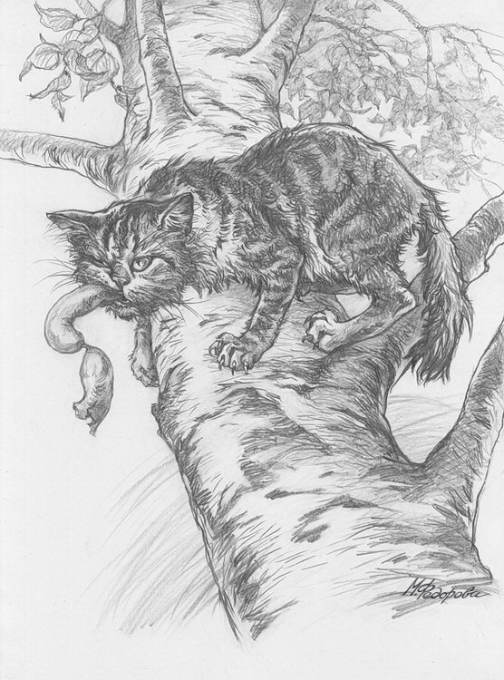 Кот ворюга Паустовский (43 фото)
