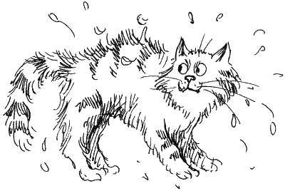 Раскраски кот ворюга (47 фото)