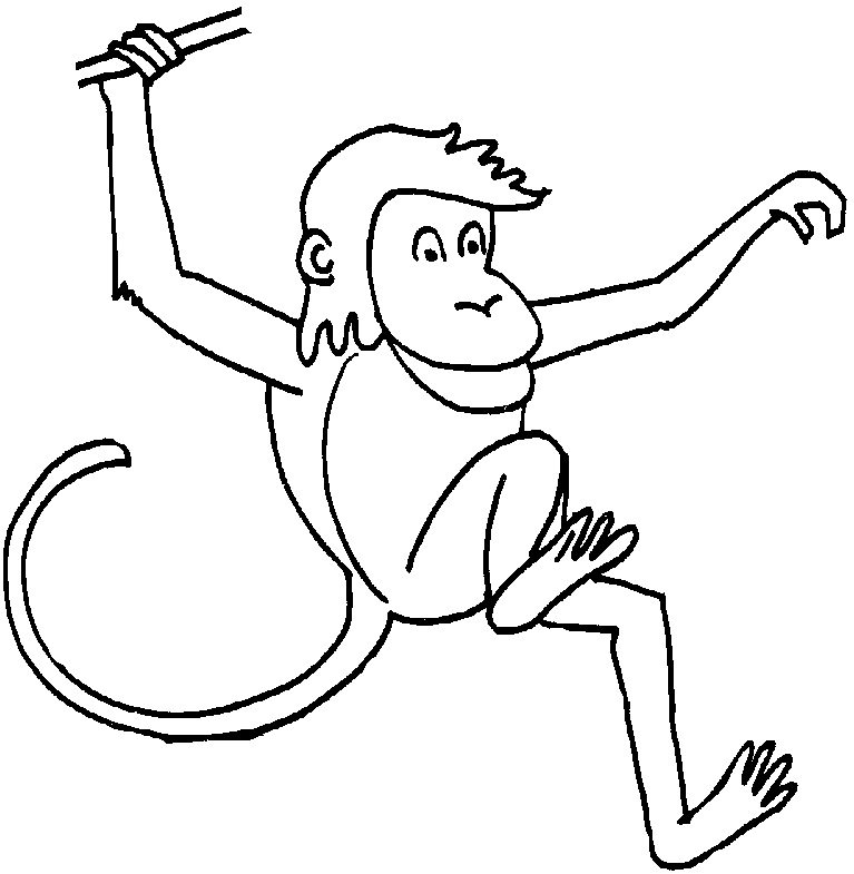 Раскраска Смешная круглоголовая обезьяна распечатать - Обезьяны