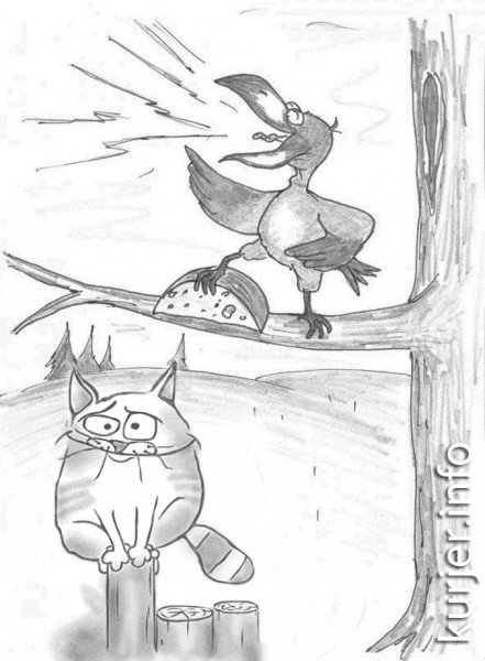 Кот и ворона