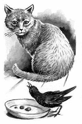 Скребицкий кот Иванович