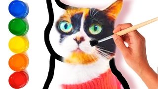 Кошка куки