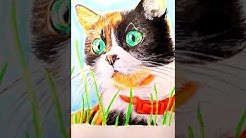 Нарисовать кота сливки шоу