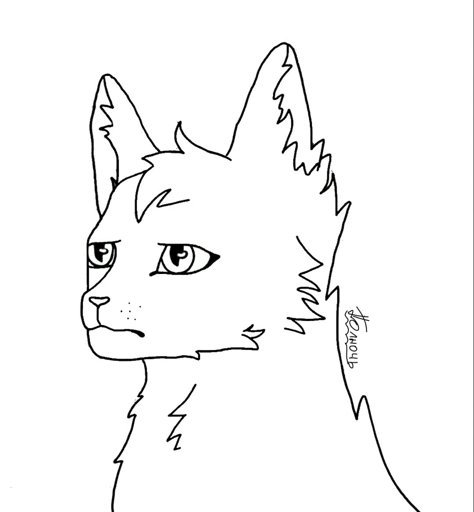 Коты Воители лайн кота