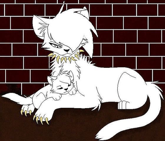 Коты Воители лайны семья