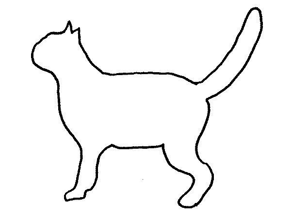 Контур кошки сбоку