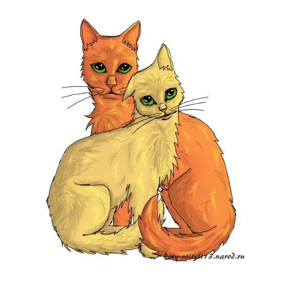 Коты Воители Огнезвёзд и Песчаная буря