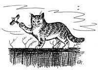 Кот и Воробей раскраска