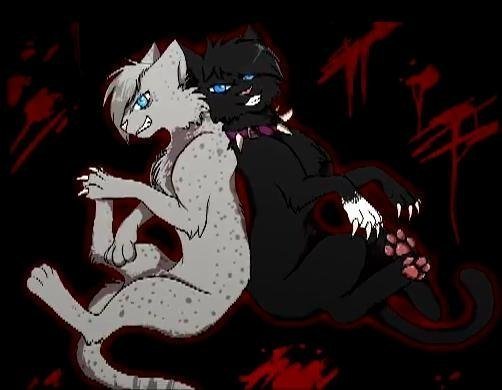 Коты Воители Кровоцапка