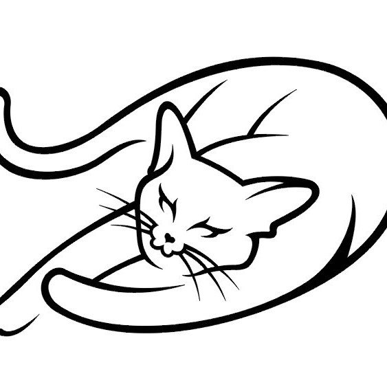 Изображение кота рисунок