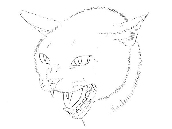 Злая кошка рисование