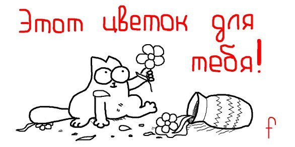 Кот Саймон с днем рождения