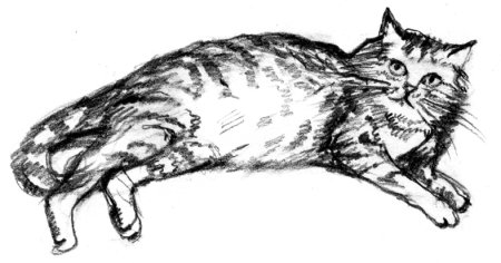 Кошка ю-ю Куприн