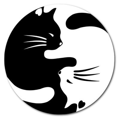 Кот Инь Янь