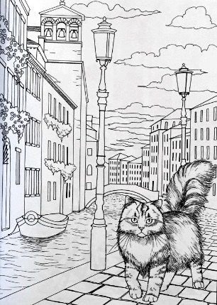 Пейзаж с котом раскраска