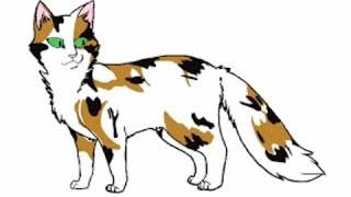 Окрасы для котов воителей Вики