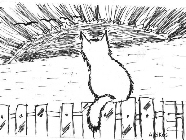 Кот на заборе рисунок