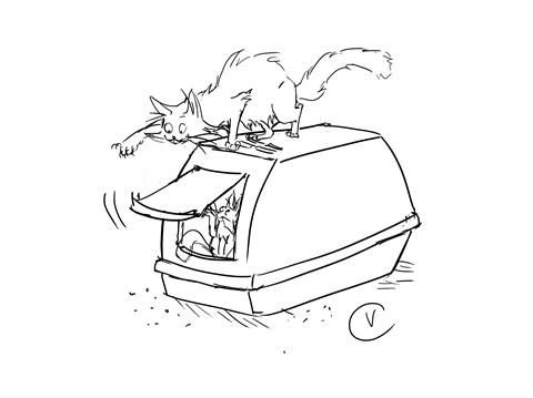 Кошачий лоток рисунок