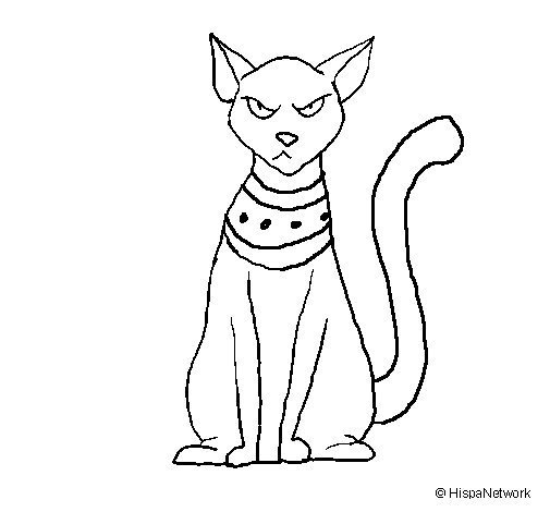 Египетский сфинкс кот