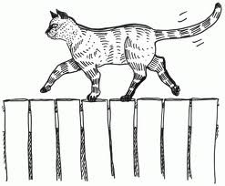 Кошка на заборе рисунок