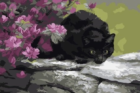 Картина по номерам черная кошка