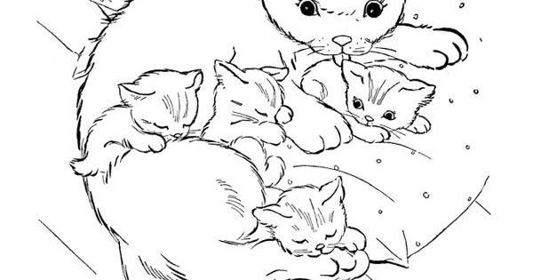 Раскраски кошки в лукошке (44 фото)