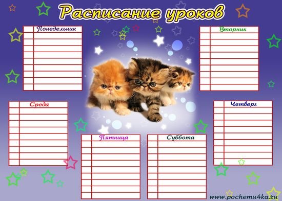 Расписание уроков с котятами
