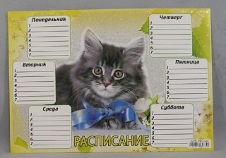 Раскраски расписание уроков с котами (50 фото)