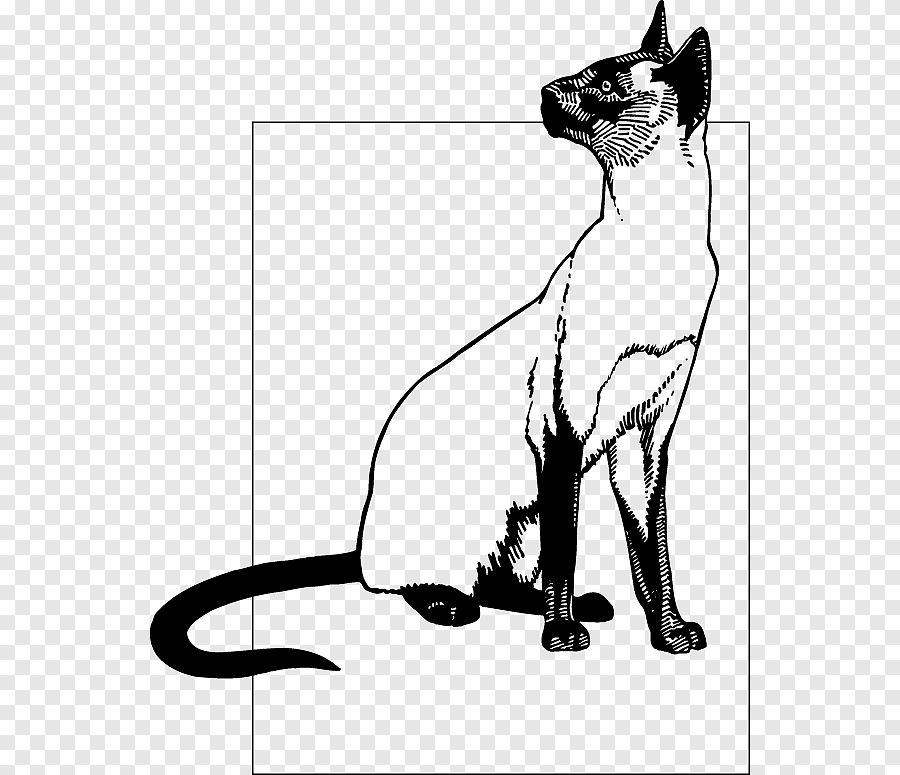 Милый сиамский кот клипарт для раскраски и иллюстрации happy cat illustration | Премиум векторы