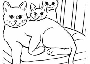Сиамский кот раскраска