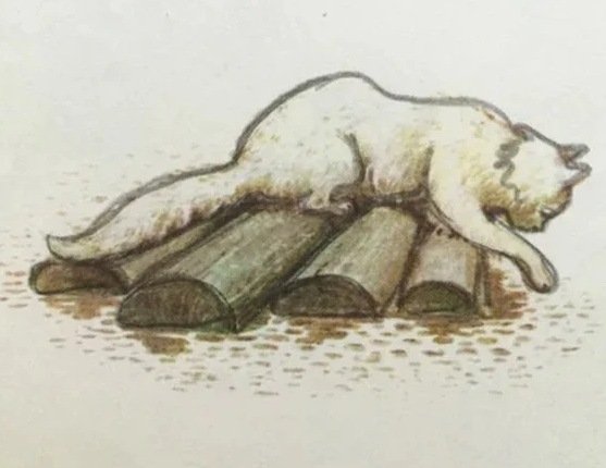 Кот Епифан Чарушин