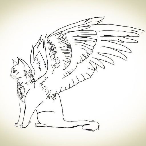 Раскраски кот с крыльями (46 фото)