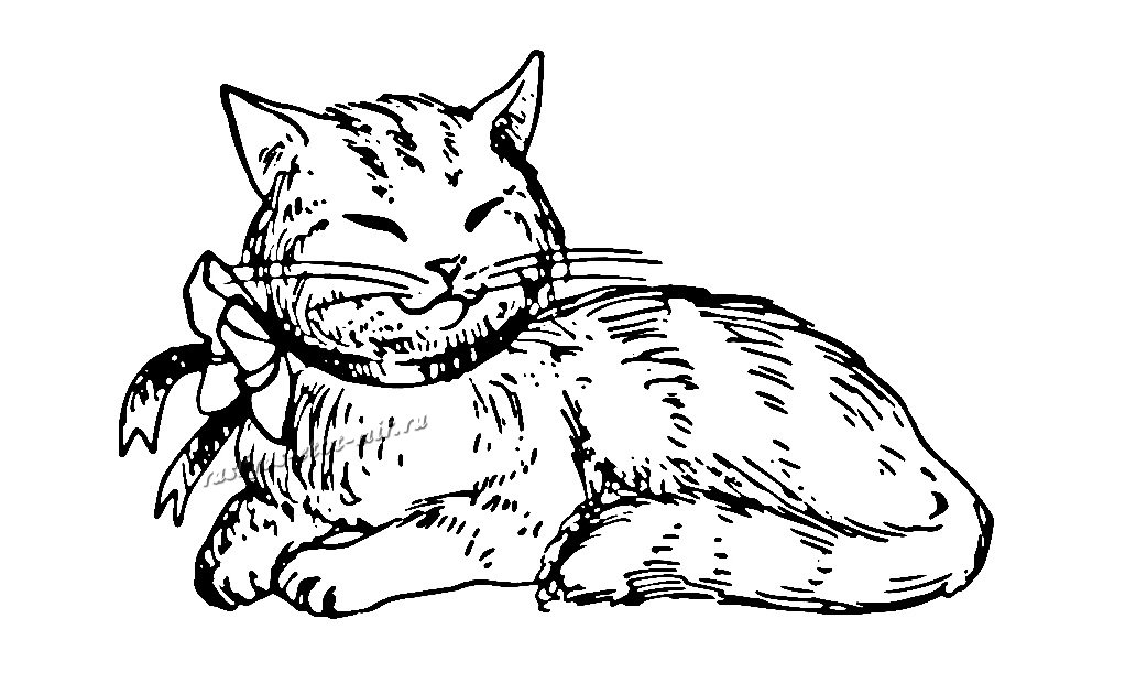 Рисунки сытый кот и голодная кошка (34 фото)