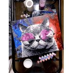 Космический кот картина по номерам