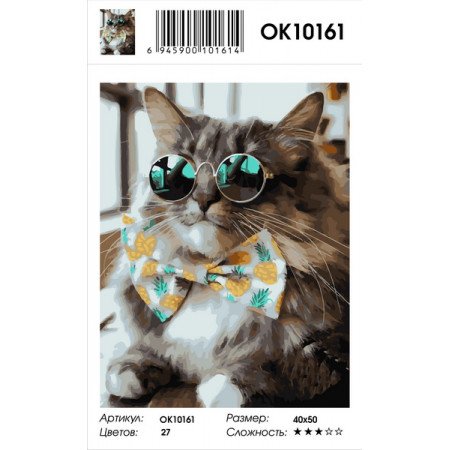 Картина по номерам кот в очках
