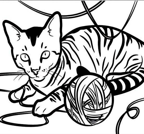 Раскраски кот симба (47 фото)