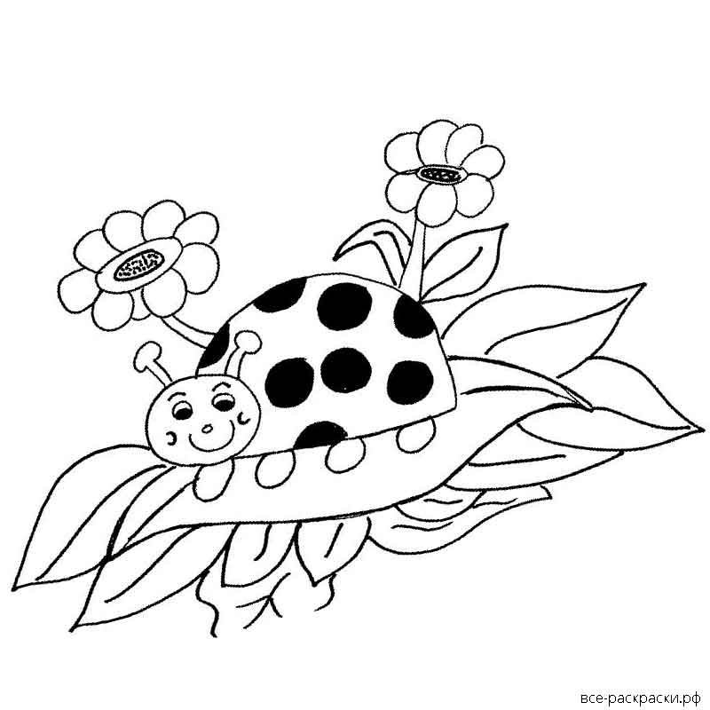 Рисунок божья коровка на листе