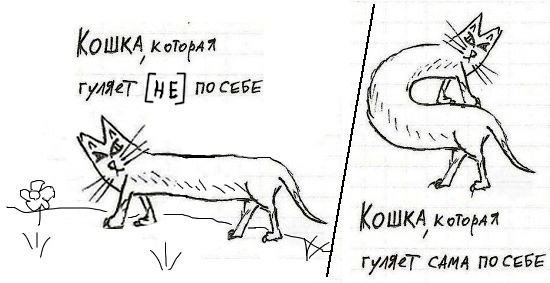 Кошка которая гуляла сама по себе