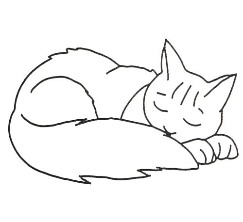 Кошка спит раскраска